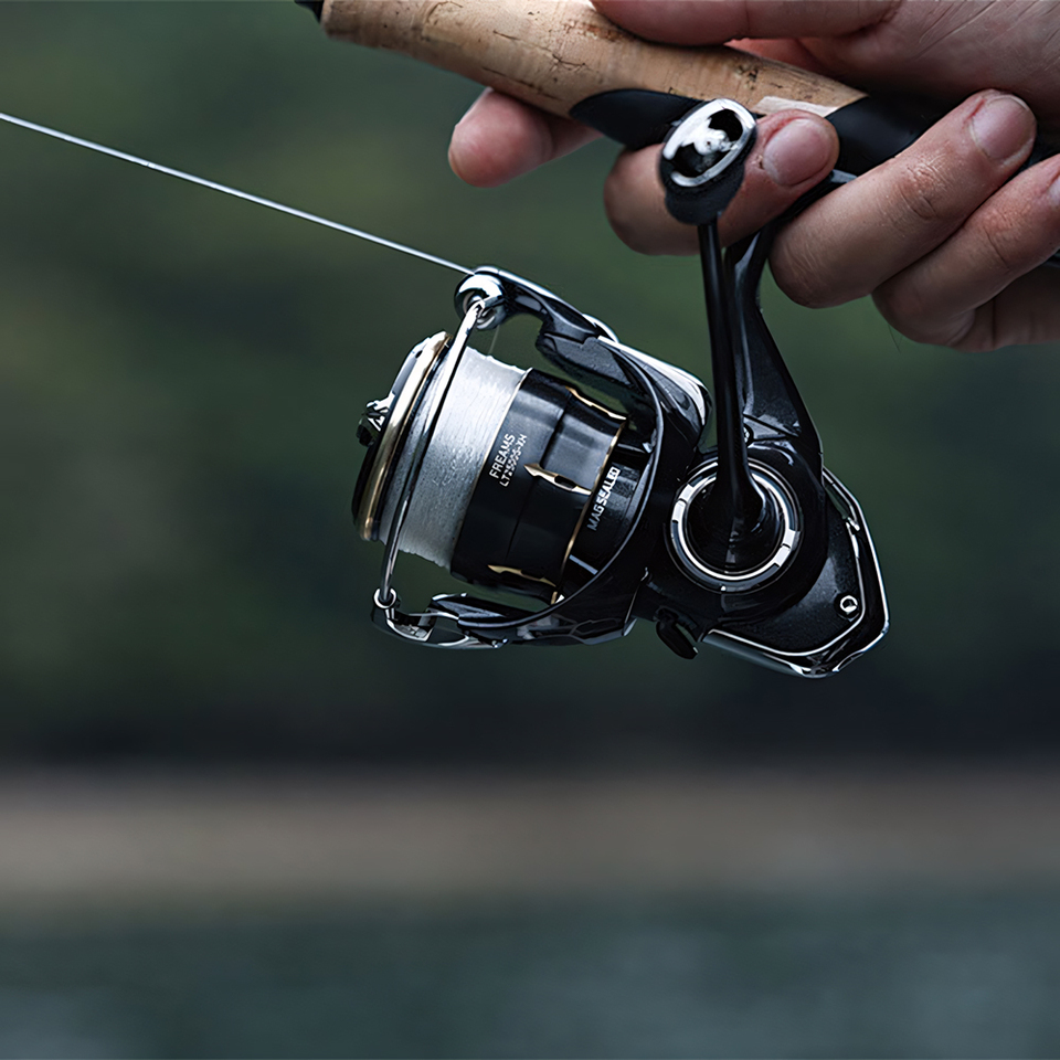Carrete de Pesca Giratorio DAI - Fishing Equipment Daiwa reseña y precio