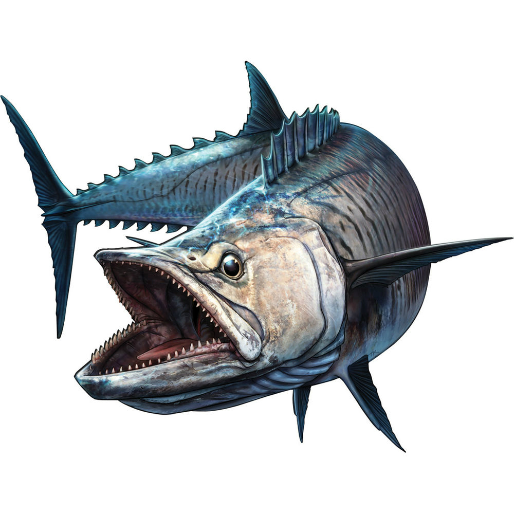 Tiburón pez pesca barco caña p - Bass Fishing Lure reseña y precio