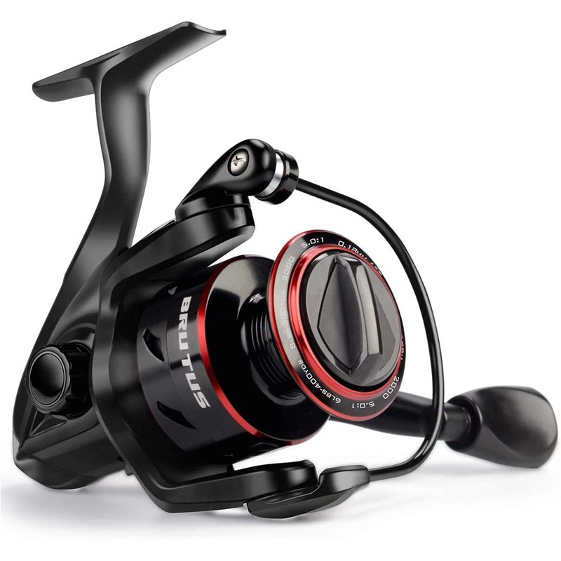 Carrete de Pesca Giratorio Kas - Fishing Equipment Daiwa reseña y precio