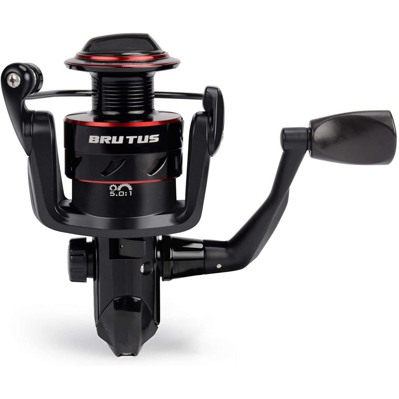 Carrete de Pesca Giratorio Kas - Fishing Equipment Daiwa reseña y precio