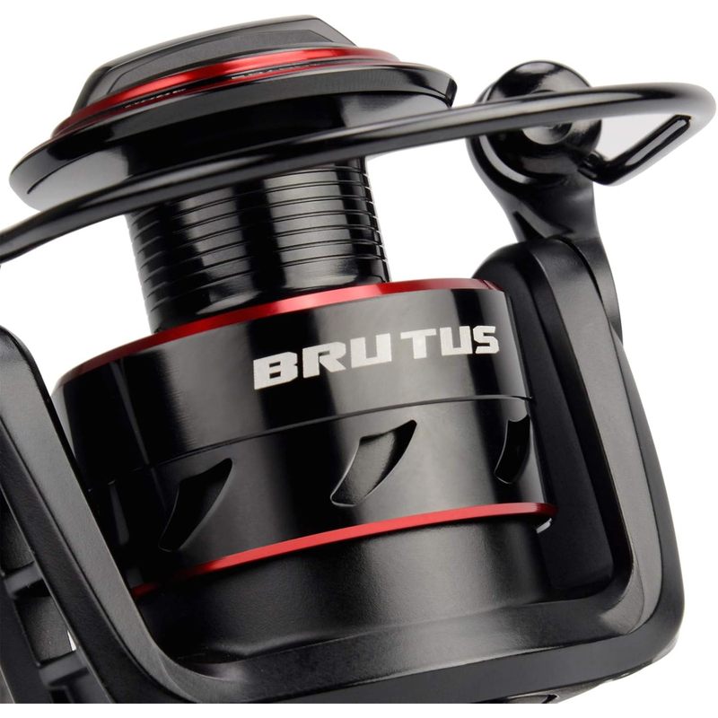 Carrete de Pesca Giratorio Kas - Fishing Equipment Daiwa reseña y precio