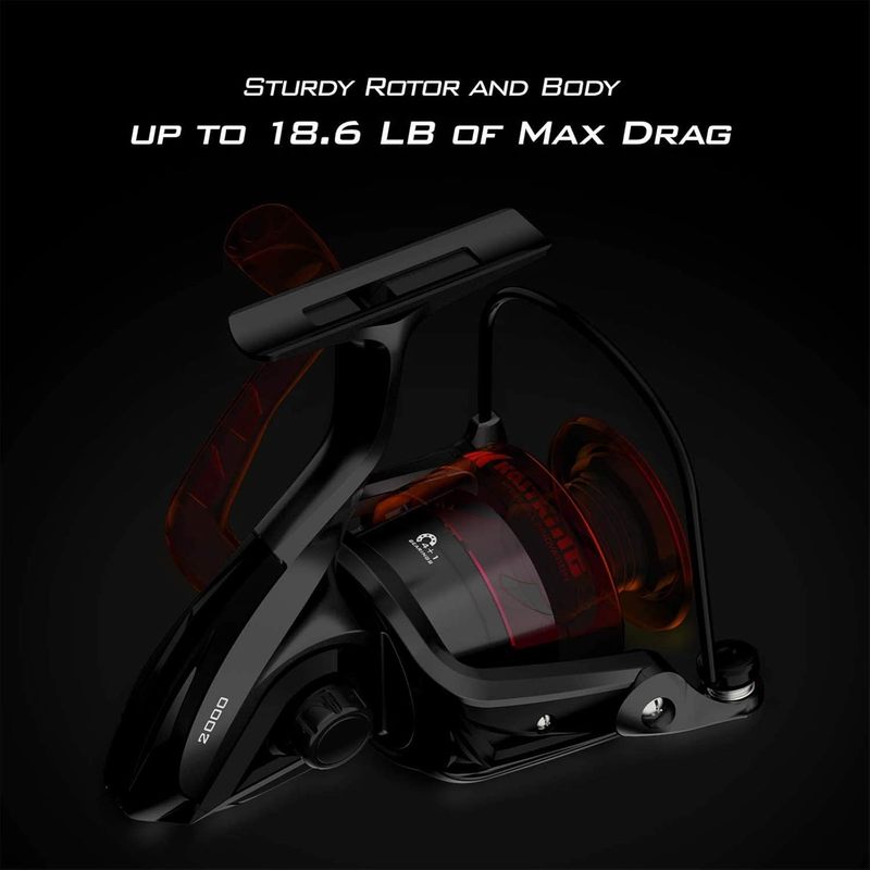 Carrete de Pesca Giratorio Kas - Fishing Equipment Daiwa reseña y precio
